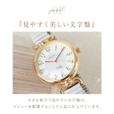 Plaisir プレジールソーラーウォッチ | BACKYARD FAMILY | 詳細画像7 