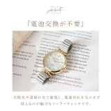 Plaisir プレジールソーラーウォッチ | BACKYARD FAMILY | 詳細画像9 