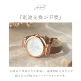 Plaisir プレジールソーラーウォッチ | BACKYARD FAMILY | 詳細画像9 