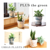 PLUS the green アーバンプランツポット 5号 | BACKYARD FAMILY | 詳細画像13 