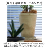 アーバンプランツポット | BACKYARD FAMILY | 詳細画像2 