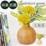 光触媒 インテリアグリーン WDポット ラウンド | BACKYARD FAMILY | 詳細画像1 