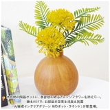 光触媒 インテリアグリーン WDポット ラウンド | BACKYARD FAMILY | 詳細画像2 