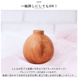 光触媒 インテリアグリーン WDポット ラウンド | BACKYARD FAMILY | 詳細画像8 