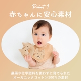 POMPKINS BABY オーガニック ガラガラ | BACKYARD FAMILY | 詳細画像5