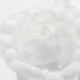 【日本製】フラワーコサージュ | BeBe | 詳細画像7 