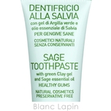 アルジタル グリーンクレイ歯みがき セージ 10ml | BLANC LAPIN | 詳細画像4 