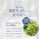 アクシージア ビューティーフォースコンフォートクレンジングクリーム 120g | BLANC LAPIN | 詳細画像8