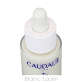 コーダリー ヴィノパーフェクトブライトニングダークスポットセラム 30ml | BLANC LAPIN | 詳細画像3