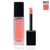 クリスチャンディオール ディオールスキンフォーエヴァーブラッシュソフトフィルター… | BLANC LAPIN | 詳細画像1 