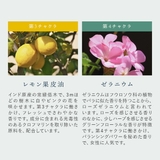 暇楽ラボ kalaku labo | BLANC LAPIN | 詳細画像10