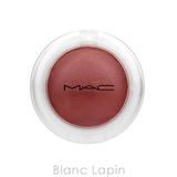 マック グロープレイクッショニーブラッシュ #プラッシュ ペッパー 7.3g | BLANC LAPIN | 詳細画像2 