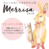ヴァシリーサ VASILISA パフュームスティック | BLANC LAPIN | 詳細画像2 