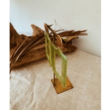 アセチレクタングルピアス emouv ピアス | BUYSENSE | 詳細画像1 