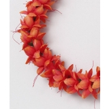 【Maunaloa】オハイアリイロングレイ | アミナコレクション  | 詳細画像6 