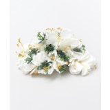 【Maunaloa】カヒリジンジャークリップ | アミナコレクション | 詳細画像1