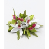 ホワイト | 【Maunaloa】ミニシンビファーンクリップ | アミナコレクション 