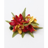 レッド | 【Maunaloa】ミニシンビファーンクリップ | アミナコレクション 