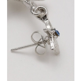 【カヒコ】ホヌスタフィピアス | アミナコレクション  | 詳細画像3 