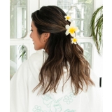 【カヒコ】プルメモエヘアクリップセット | アミナコレクション | 詳細画像1