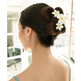 【カヒコ】プアレイヘアクリップ | アミナコレクション  | 詳細画像2 