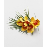 イエロー | 【マウナロア】ナニオーキッドクリップ | アミナコレクション 