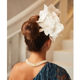 【マウナロア】スタイリングシェルカラーCLP | アミナコレクション | 詳細画像3