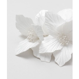 【マウナロア】スタイリングシェルカラーCLP | アミナコレクション | 詳細画像9