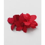 レッド | 【マウナロア】スタイリングシェルカラーCLP | アミナコレクション