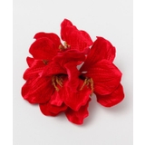 レッド | 【マウナロア】ベルベットアマリリスＣＬＰ | アミナコレクション 