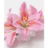 【マウナロア】リリークリップ | アミナコレクション  | 詳細画像6 