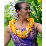 【マウナロア】プルメリアクリップ | アミナコレクション  | 詳細画像2 