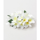 ホワイト | 【マウナロア】プルメリアクリップ | アミナコレクション 