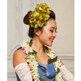 【マウナロア】ノーブルシンビジウムクリップ | アミナコレクション  | 詳細画像1 