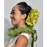 【マウナロア】ノーブルシンビジウムクリップ | アミナコレクション  | 詳細画像11 