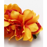 【マウナロア】ノーブルシンビジウムクリップ | アミナコレクション  | 詳細画像8 