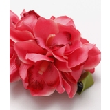 【マウナロア】ノーブルシンビジウムクリップ | アミナコレクション  | 詳細画像9 