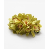 グリーン | 【マウナロア】ノーブルシンビジウムクリップ | アミナコレクション 