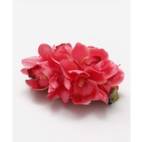 ピンク | 【マウナロア】ノーブルシンビジウムクリップ | アミナコレクション 