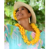 【マウナロア】プレミアムケニケニクリップ | アミナコレクション  | 詳細画像2 