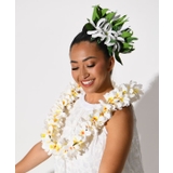 【マウナロア】プルメリアボリュームレイ | アミナコレクション  | 詳細画像2 