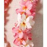 【マウナロア】プルメリアボリュームレイ | アミナコレクション  | 詳細画像5 