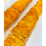 【Maunaloa】イリマショートレイ | アミナコレクション  | 詳細画像1 