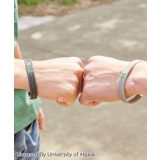 University of Hawaii | アミナコレクション | 詳細画像1