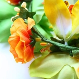 【Maunaloa】レイ&ポー モハラガーデン | アミナコレクション  | 詳細画像2