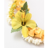 【Maunaloa】ナニプアケニケニコンボレイ | アミナコレクション | 詳細画像2