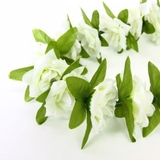 【Maunaloa】ローズレイ | アミナコレクション  | 詳細画像3 