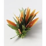 【Maunaloa】パラダイスリーフクリップ | アミナコレクション | 詳細画像3