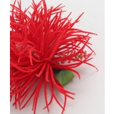 【Maunaloa】ソードリーフクリップ | アミナコレクション  | 詳細画像6 