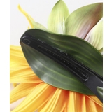 【Maunaloa】スパイダーマムクリップ | アミナコレクション | 詳細画像5